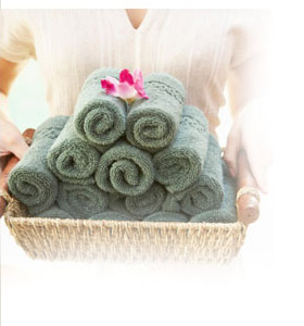 Organic Natural Fiber Towels